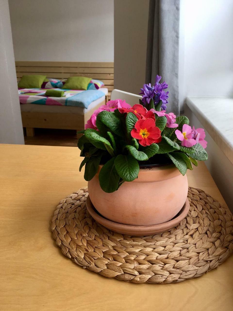 Apartmany A Ubytovani Mlynice Литовел Экстерьер фото
